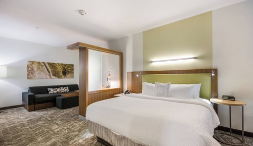 Suite, 1 cama de matrimonio grande con sofá cama, no fumadores