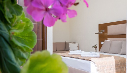 Habitación básica doble, 1 cama doble, patio, vistas a la piscina