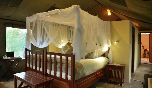 Tienda (Family Forest Tent)