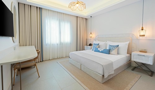 Habitación Deluxe con 1 cama doble o 2 individuales, 1 habitación, no fumadores, vistas al jardín