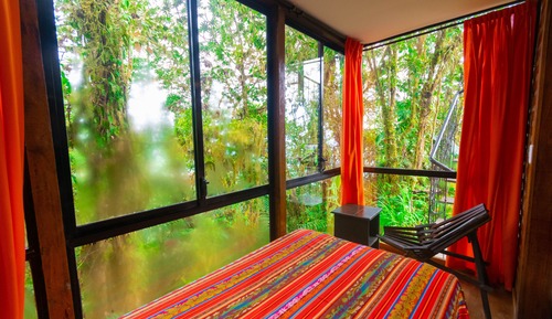 Habitación estándar, 1 habitación