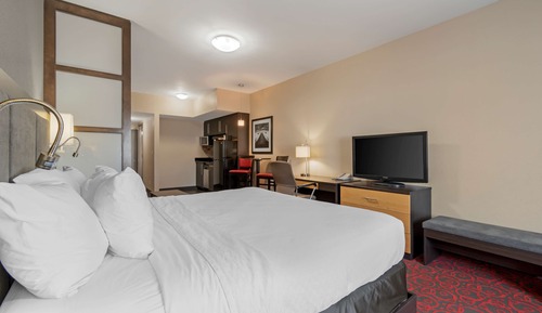 Suite, 1 cama de matrimonio grande, no fumadores, cocina básica (Pet Friendly)