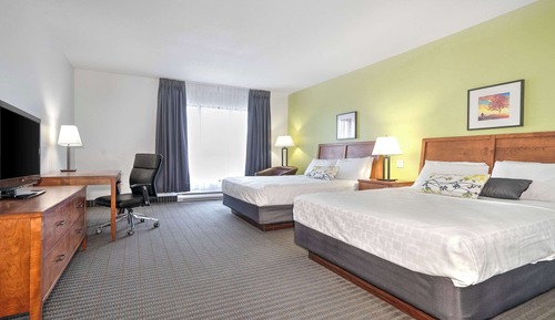 Habitación estándar, 2 camas de matrimonio, no fumadores