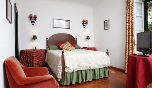Habitación individual clásica