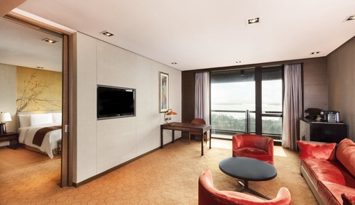 Suite, 1 habitación