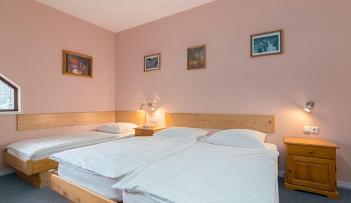 Apartamento estándar, 1 habitación, cocina básica