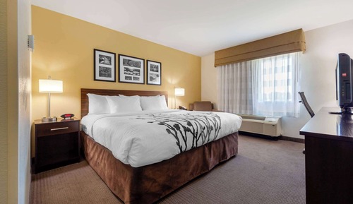 Habitación estándar, 1 cama de matrimonio grande, no fumadores