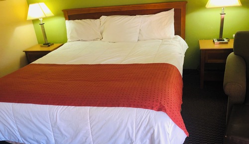 Habitación individual básica, 1 cama de matrimonio grande