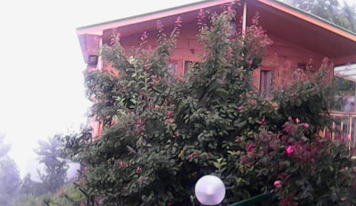 Casa de campo