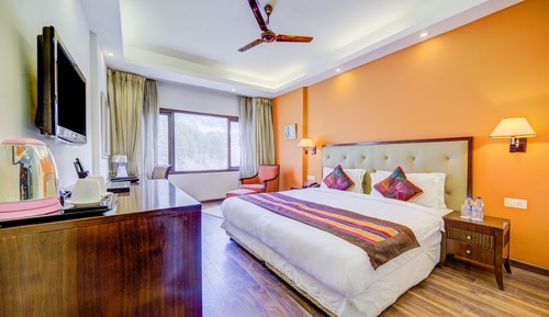 Habitación Premium, 1 cama doble