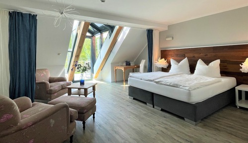 Habitación Deluxe doble (annex building)