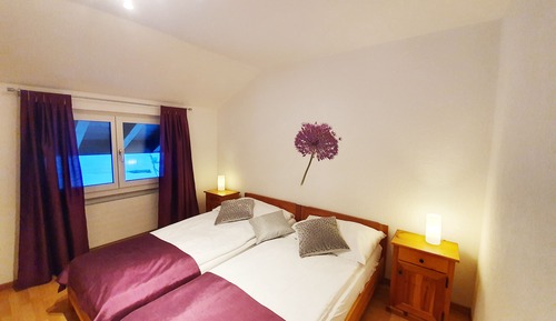 Apartamento Confort, 1 habitación, vistas a la montaña