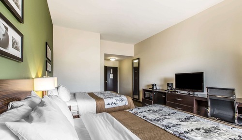 Habitación estándar, 2 camas de matrimonio