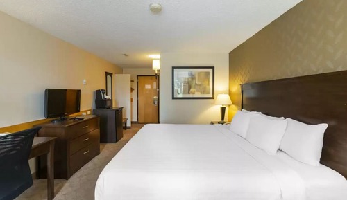 Habitación estándar, 1 cama de matrimonio grande