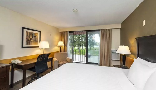 Habitación estándar, 1 cama de matrimonio grande, balcón