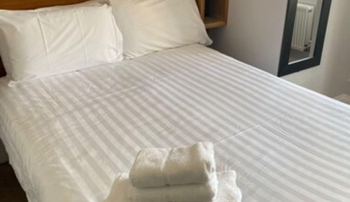 Habitación doble, 1 cama doble