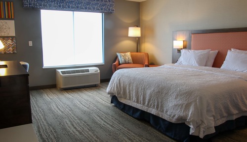 Habitación, 1 cama de matrimonio grande, accesible para personas con discapacidad (Roll-In Shower)