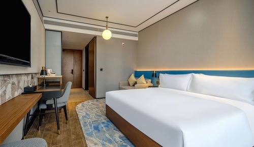 Habitación básica, 1 cama de matrimonio grande