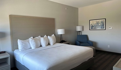 Habitación estándar, 1 cama de matrimonio grande, no fumadores, frigorífico y microondas