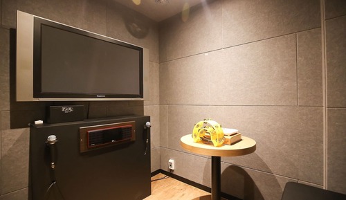 Room (Special room (Netflix viewing availab)