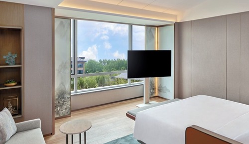 Suite presidencial, 1 cama de matrimonio grande