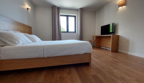 Habitación panorámica doble, 1 cama de matrimonio, vistas a la montaña, junto a la montaña