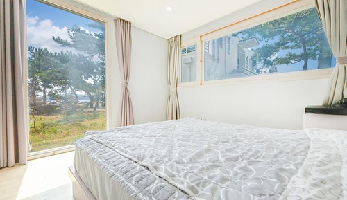Habitación básica, 1 habitación (SANUR 102)