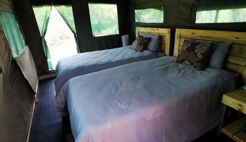 Habitación estándar con 2 camas individuales