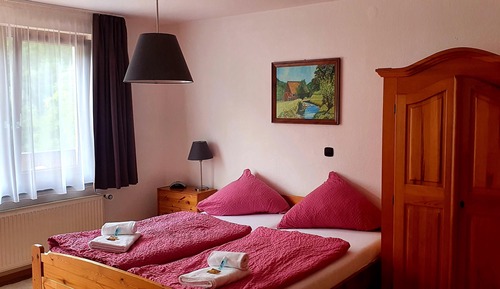Habitación estándar doble, baño privado