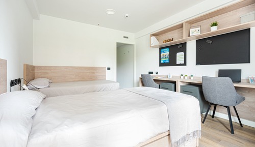 Habitación básica con 1 cama doble o 2 individuales