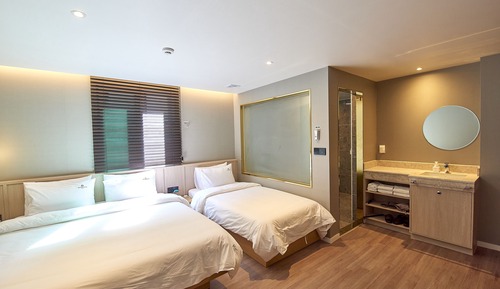 Habitación Deluxe con 2 camas individuales