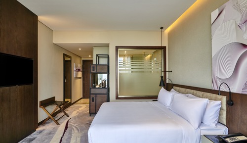 Habitación estándar, 1 cama de matrimonio grande (Walk-In Shower)