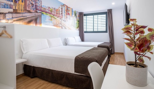 Habitación cuádruple familiar
