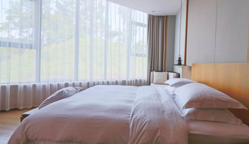 Suite, 1 habitación, vistas al lago