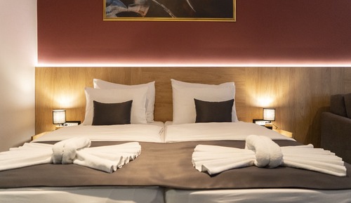 Habitación Deluxe con 1 cama doble o 2 individuales