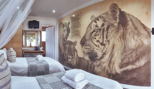 Habitación clásica con 1 cama doble o 2 individuales