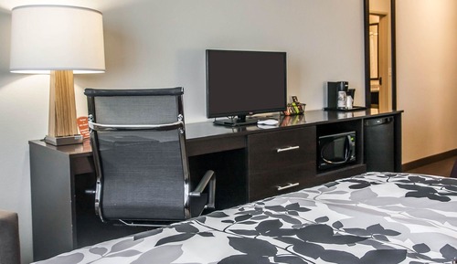 Habitación estándar, 1 cama de matrimonio grande, no fumadores