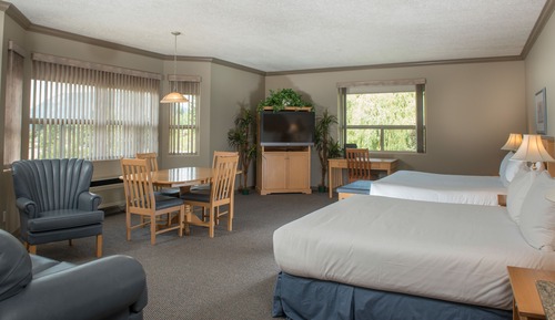 Suite junior, vistas al lago