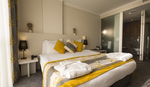 Double Room with Handicap Accessibility