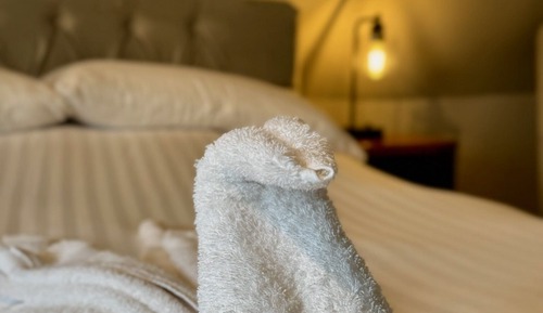 Suite Deluxe, baño privado (The Attic)