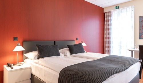 Habitación estándar doble, 1 cama doble, vistas al jardín