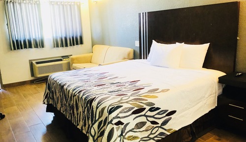 Habitación, 1 cama de matrimonio grande