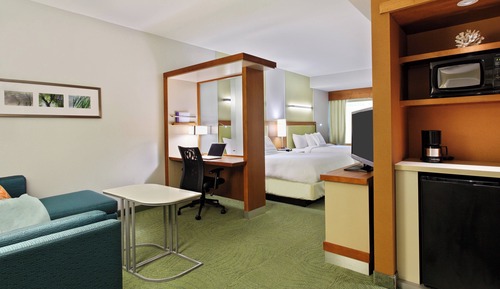 Estudio, varias camas, no fumadores (Hearing Accessible)
