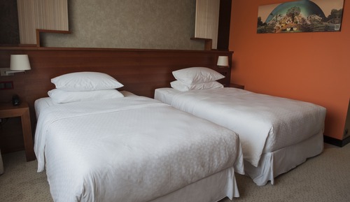 Habitación clásica, 2 camas individuales