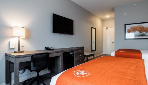 Habitación estándar, 2 camas de matrimonio, no fumadores (Pet-Friendly)