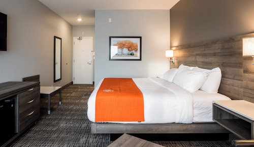 Habitación estándar, 1 cama de matrimonio grande, no fumadores