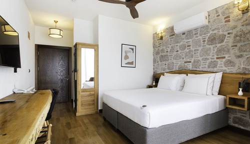 Habitación Deluxe (with Terrace)