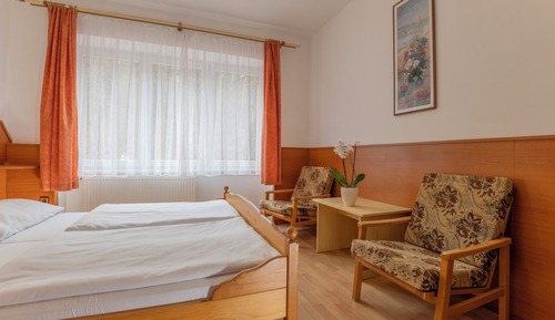 Habitación estándar con 1 cama doble o 2 individuales