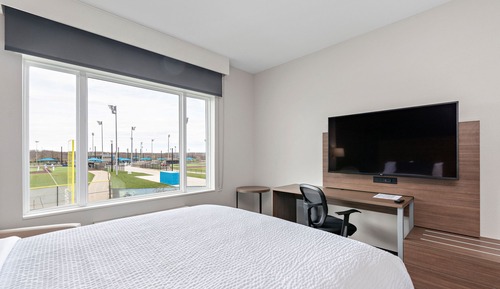 Habitación estándar, 1 cama de matrimonio grande (Ballpark View)