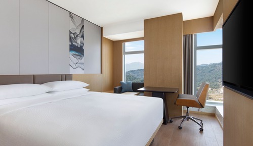 Habitación estándar, 1 cama de matrimonio grande, vistas a la ciudad